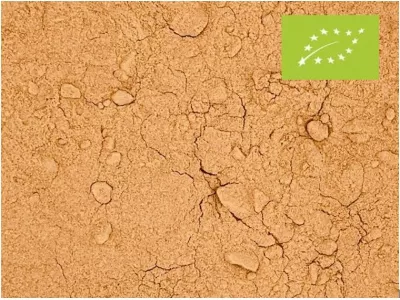 Camu Camu poeder biologisch