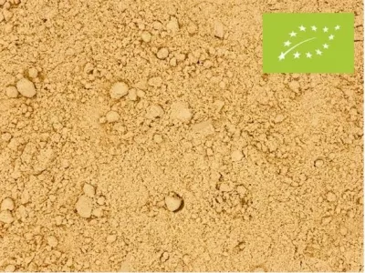 Gemberpoeder biologisch