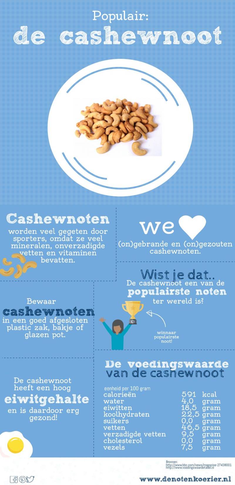 infographic cashewnoten